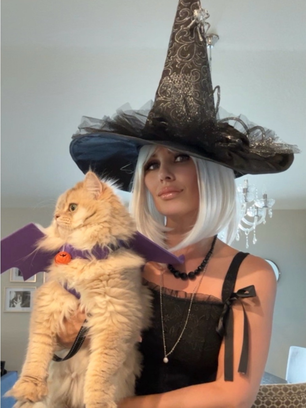 White wig